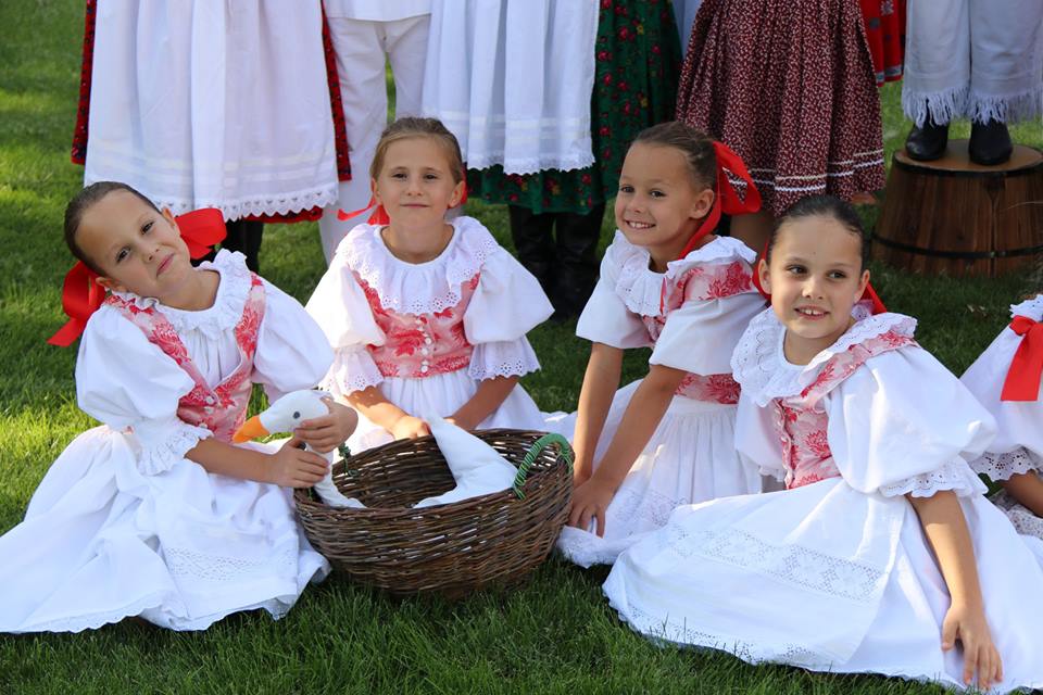 21740490 479353639111277 2346362830765457131 n